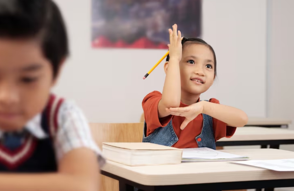 小学文科课程-like-study